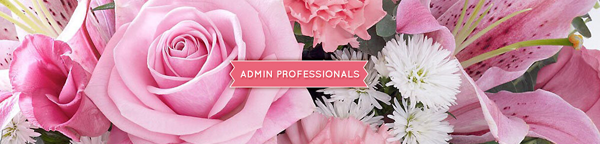 Admin Professionals Banner