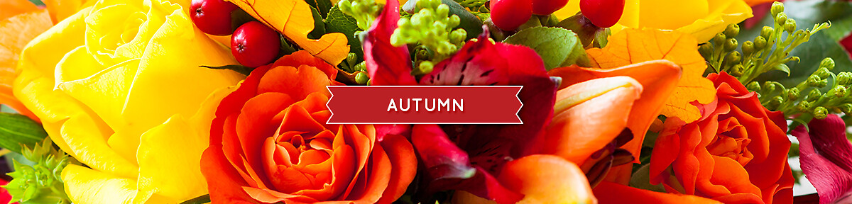 Autumn Banner