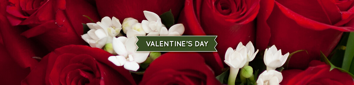 Valentine's Day Banner