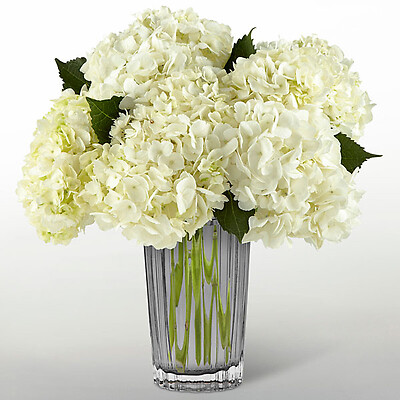 The Ivory Hydrangea Bouquet by Vera Wang
