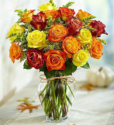 Rose Elegance&amp;trade; Premium Long Stem Autumn Roses