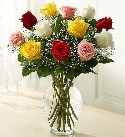 Rose Elegance&amp;trade; Premium Long Stem Assorted Roses