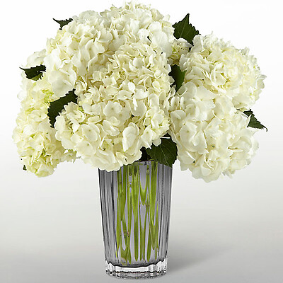 The Ivory Hydrangea Bouquet by Vera Wang