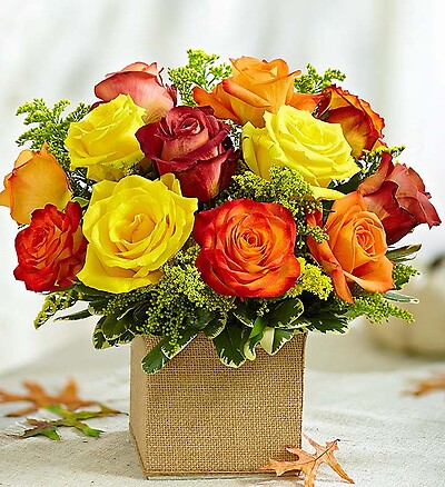 Autumn&amp;rsquo;s Blooming Roses